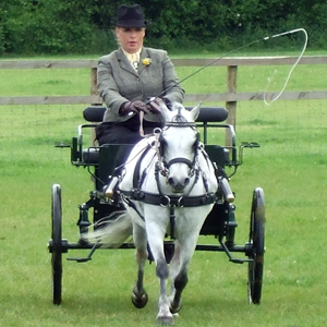 Sue at DriveTime Magazine with Willow a Welsh A at the BDS Sussex Show 